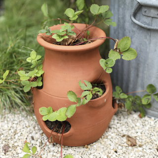 Plantenpotten