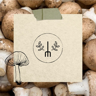 Paddenstoelen Kweekbenodigdheden