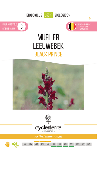 Lejongap 'Black Prince'