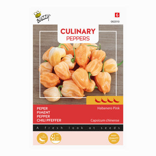 Chilipeppar  'Habanero Pink'