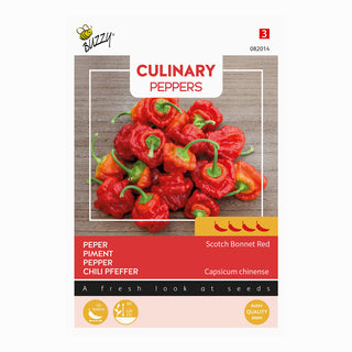 Chilipeppar  'Scotch Bonnet'
