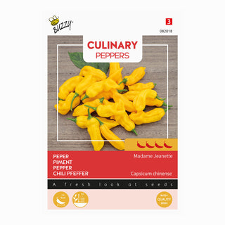 Chilipeppar  'Madame Jeanette'