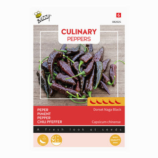 Chilipeppar  'Naga Black'