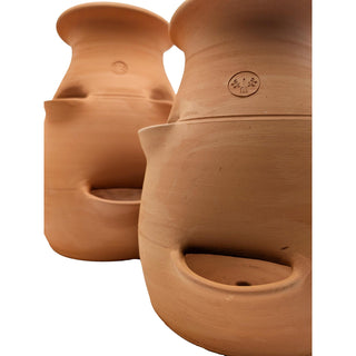 Jordgubbskruka terrakotta