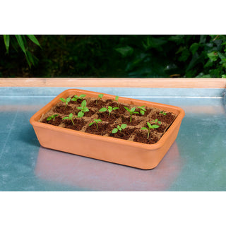 Kweekset Terracotta Romberg