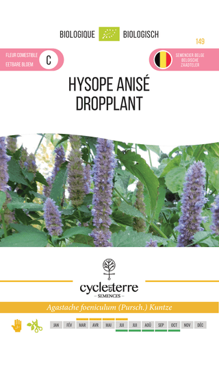 Hyssop - Droppland 
