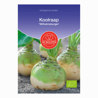 Koolraap  'Wilhelmsburger'