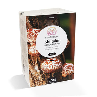 Shiitake EKO
