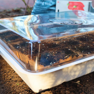 Eco Odlingslåda (inkl. 30 torvkrukor)