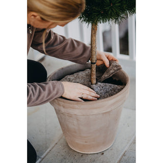 Wol Mulchschijf (2) Nelson Garden