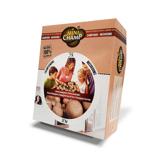 Kastanjechampinjoner EKO