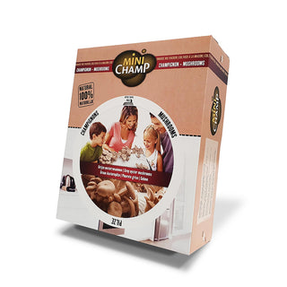 Grå ostronskivling EKO