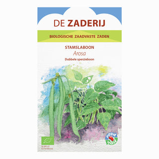 Stamslaboon 'Arosa' De Zaderij