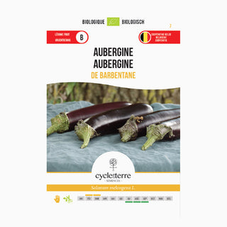 Aubergine 'De Barbentane' 