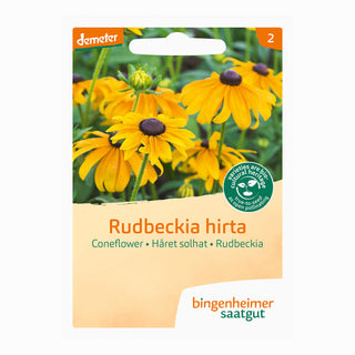 Rudbeckia solhatt