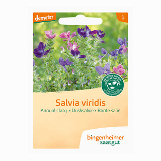 Brokig salvia – blandad