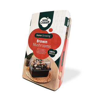 Kastanjechampinjoner EKO