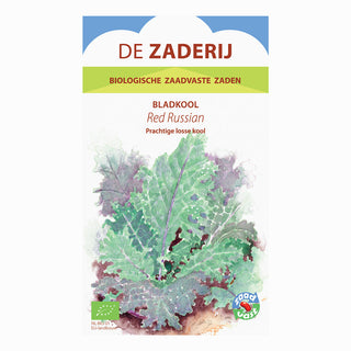 Bladkool 'Red Russian, De Zaderij