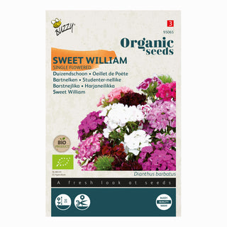 Studentnejlika Sweet William