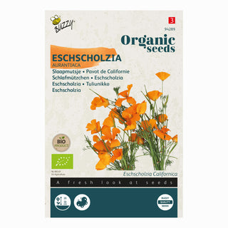 Guldvallmo Aurantiaca