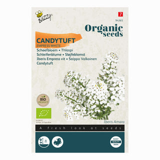 Skevblomma Empress Vit