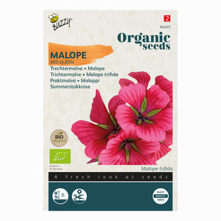 Trattmalva Red Queen