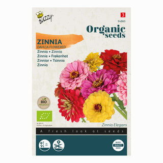 Zinnia Dubbel Dahliabloemige Gemengd