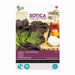 Xotica Amsoi Röd