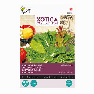 Xotica Salladsmix 'Oriental Mix'