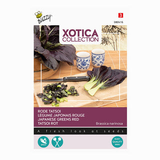Xotica Tatsoi Röd