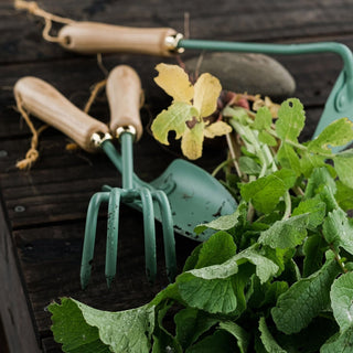 Handverktygsset 'Mint Edition'