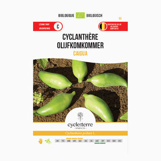 Inka-gurka 'Cyclanthera Caigua'