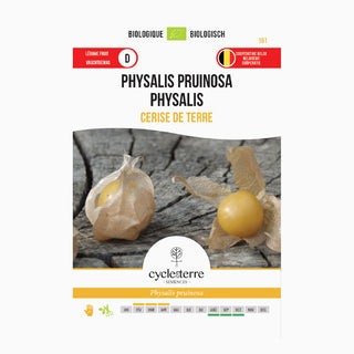 Aardkers Physalis pruinosa