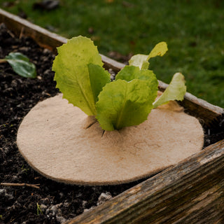 Jute marktäckningsskiva