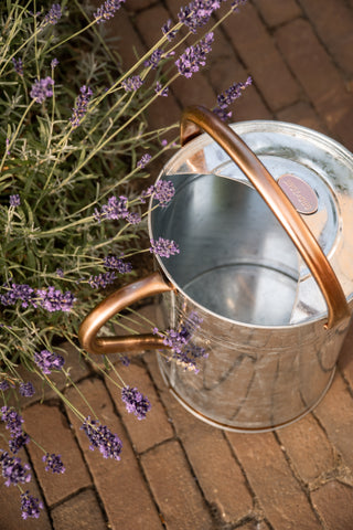 Vattenkanna metall 9L zink