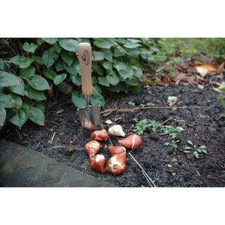 Verplantschep RVS - Esschet Design