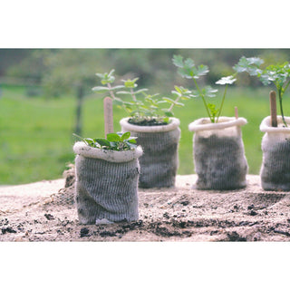 Odlingkruka i ull BIO (10)