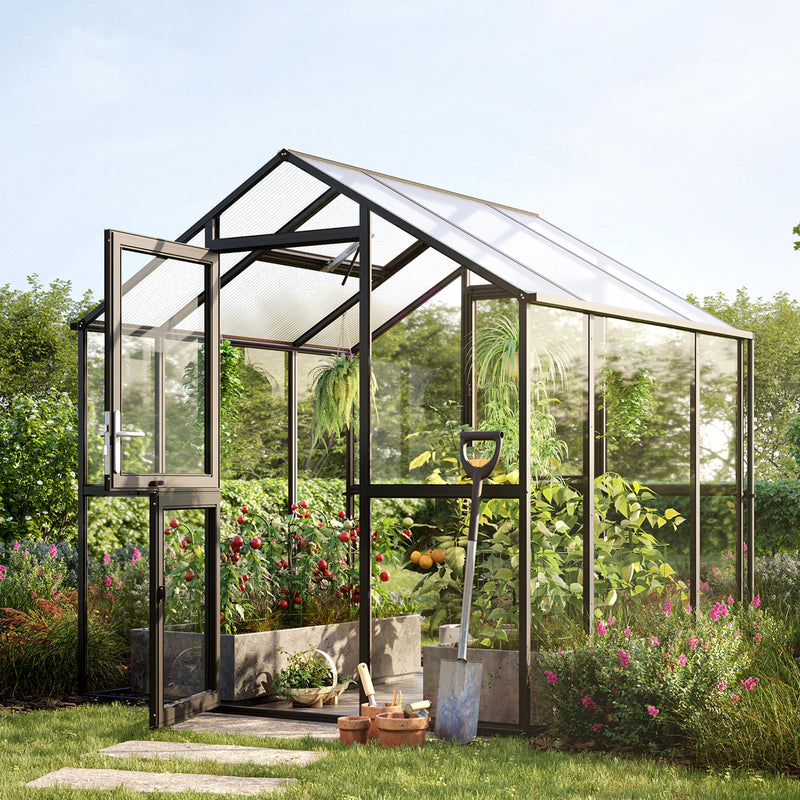 KGT Aptasia Greenhouse Kas Serre