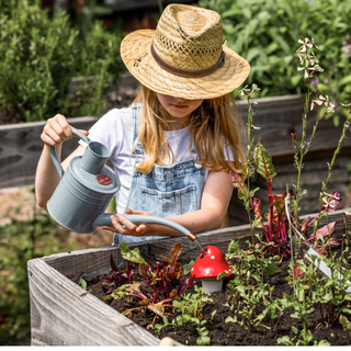 Bevattningsspets svamp