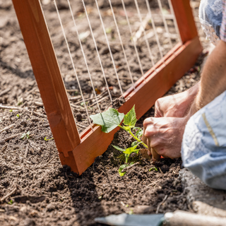 Växtklätterstöd, fällbart
