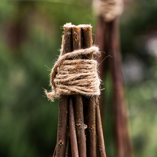 Växtstöd i pil, band (set om 3)