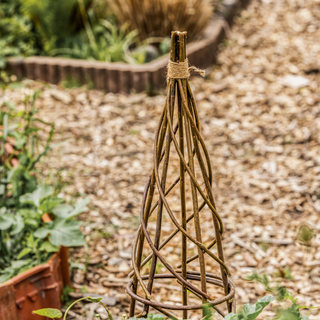 Växtstöd i pil, öppet (set om 3)