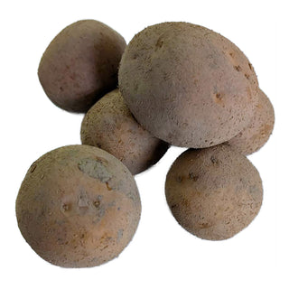 Oscar BIO sättpotatis 1kg