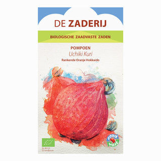 Pompoen Uchiki Kuri, De Zaderij 