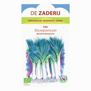 Purjolök 'Mechelse Blauwgroene'