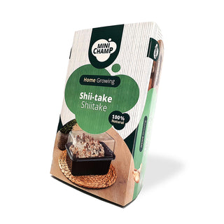 Shiitake EKO
