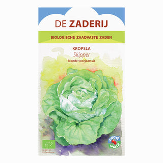 Huvudsallat 'Skipper'