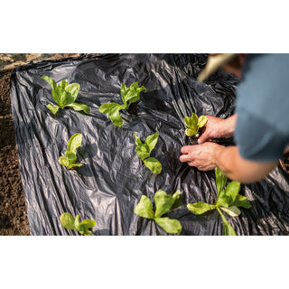 Bio Mulchfolie op Rol Stocker