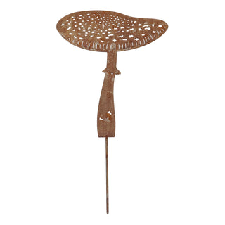 Tuinsteker Vliegenzwam