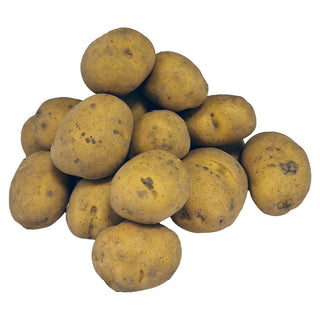 Twister BIO utsädespotatis 1kg